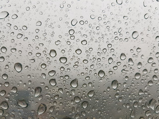 rain drop on the window