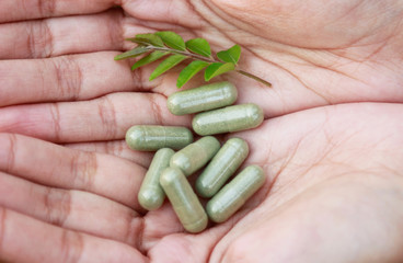 Herbal medicine powder on girl hand for healthy eating 