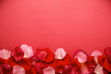 Petal of red roses border. Romantic or spa background