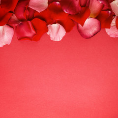 Red background with rose petals. Love and passion concept