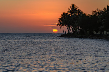 Tropical Sunset with Palm Trees in Silhouette