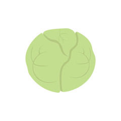 Cabbage icon on white background for graphic and web design, Modern simple vector sign. Internet concept. Trendy symbol for website design web button or mobile app