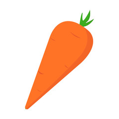 Carrot icon on white background for graphic and web design, Modern simple vector sign. Internet concept. Trendy symbol for website design web button or mobile app