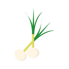 Onion icon on white background for graphic and web design, Modern simple vector sign. Internet concept. Trendy symbol for website design web button or mobile app