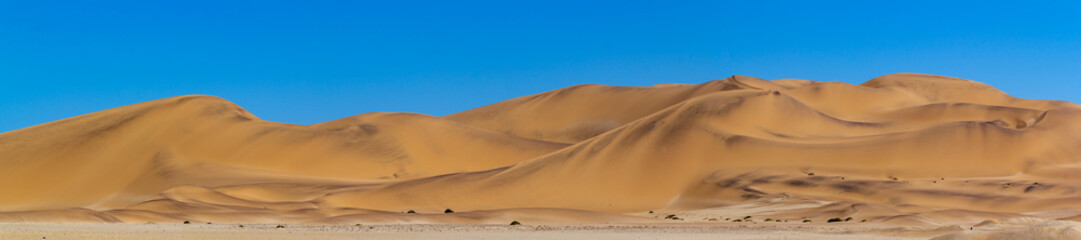 Fototapeta na wymiar Namibian Desert Dunes
