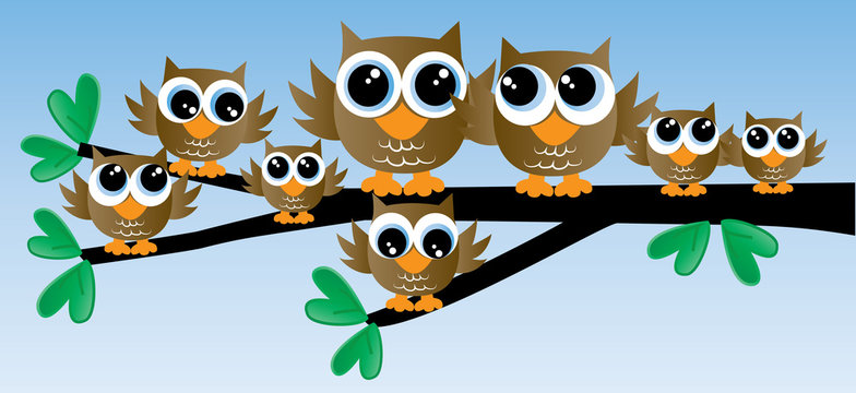 a brown owl family sitting on a branch header or banner