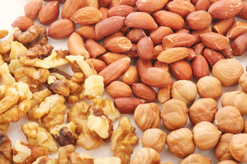 Different nuts forming background