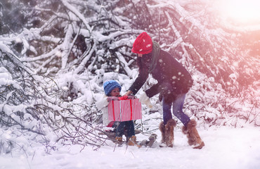 A winter fairy tale, a young mother and her daughter ride a sled in the forest. A girl on a sled with gifts on the eve of the new year in the park.