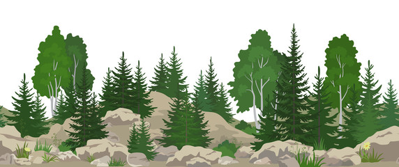 Seamless Horizontal Summer Mountain Landscape with Birch and Fir Trees, Green Grass on the Rocks. Vector