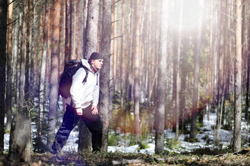 Fototapeta premium A man is a tourist in a pine forest with a backpack. A hiking trip through the forest. Pine reserve for tourist walks. A young man a hike in the spring.