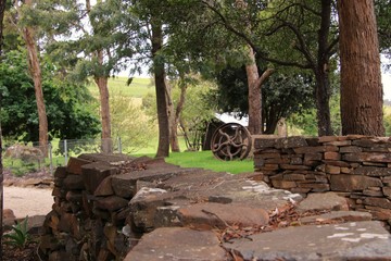 iron wheel in a forest