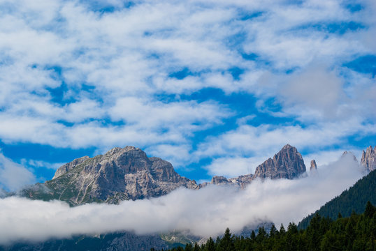 landscape forest in trentino with dolomiti mountain © Maiemyphoto