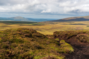 Wicklow Mountains landscape with rolling hills covered by blanket bog in Ireland.