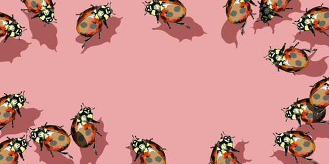  Hand-drawn ladybugs on an empty postcard with a background.