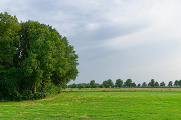 Wiesenlandschaft am Niederrhein