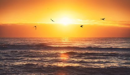 Beautiful sunrise over the sea