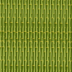 Green bamboo stick pattern square seamless background.
