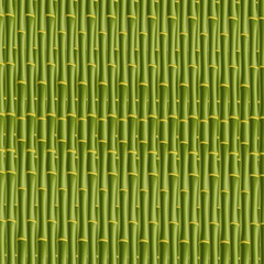 Green bamboo stick pattern square seamless background.