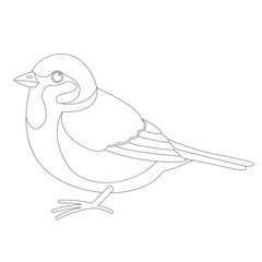 sparrow bird , vector illustration ,  lining draw , profile 