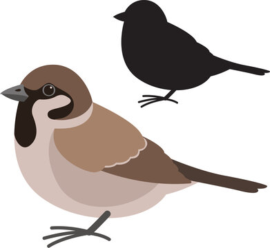 sparrow bird , vector illustration , flat style ,  silhouette