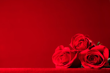 Three Beautiful Red Roses