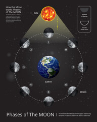 Obraz premium Movements of the Moon Phases Realistic Vector Illustration
