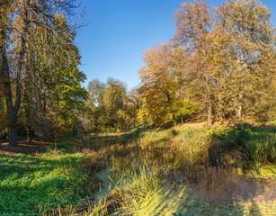 Autumn in Sofiyivka Park in Uman, Ukraine