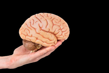 Hand holding model human brain on black background