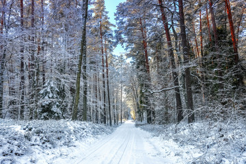 zimowy krajobraz Warmii-Polska © Janusz Lipiński