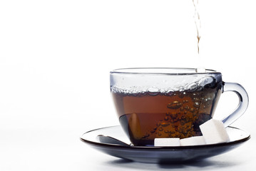 glass cup of tea isolated on white background with copy space