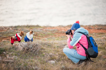 Fototapete bei efototapeten.de bestellen