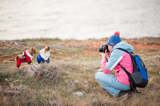 young active woman in wool hat and track suit and backpack taking pictures of two little chihuahua pet dogs using camera outdoors in cold weather winter spring season