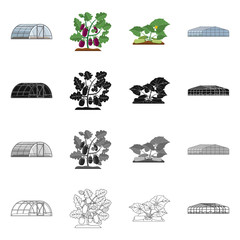 Vector design of greenhouse and plant logo. Collection of greenhouse and garden stock symbol for web.