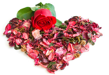  Heart made of dried rose petals and a live red rose on a white background