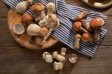 Fresh set of forest mushrooms above