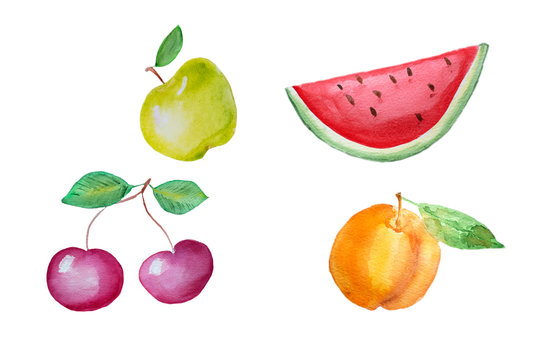 Watercolor hand drawn fruits