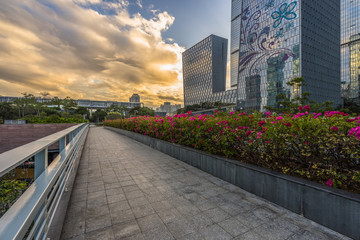 shenzhen central park,china.