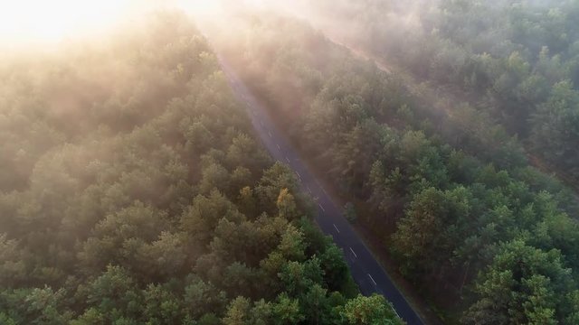 Aerial view of the forest covered with fog, sunrise, beautiful green trees, summer, asphalt road
