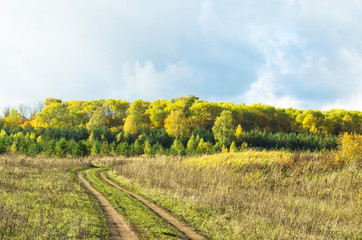 Fototapeta na wymiar road in the field leading to autumn forest