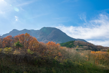 秋の由布岳パーキングエリア