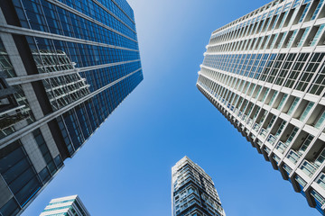 Fototapeta premium skyscraper