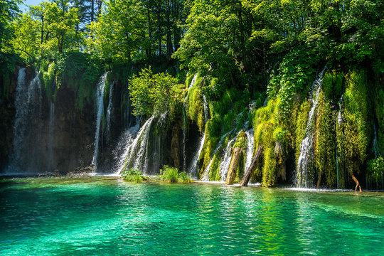 Die Plitvicer Seen sind der &auml;lteste und gr&ouml;&szlig;te Nationalpark in Kroatien. Im Bildmittelpunkt sind Wasserf&auml;lle im Vordergrund ein See im Hintergrund sind B&auml;ume