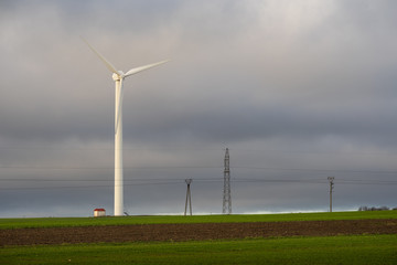 wind turbines in the field