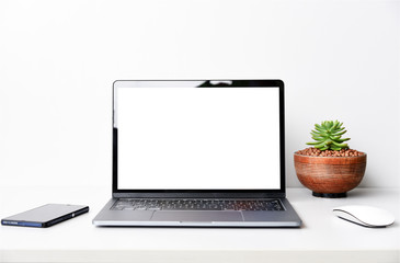 Fototapeta premium blank screen Modern laptop computer with mouse,Smart phone and Succulent on wood table in office view backgrounds 
