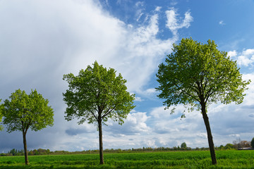 niederrheinische Landschaft