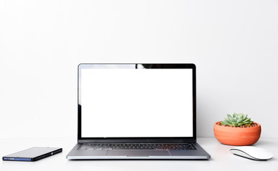 Fototapeta premium blank screen Modern laptop computer with mouse,Smart phone and Succulent on wood table in office view backgrounds 