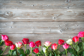 Fototapeta na wymiar Roses on wooden board.