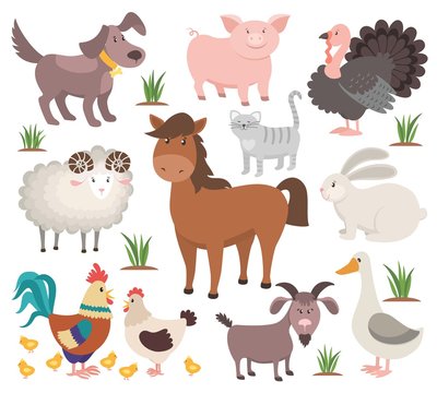 Cartoon farm animals. Turkey cat ram goat chicken rabbit horse. Village animal vector collection
