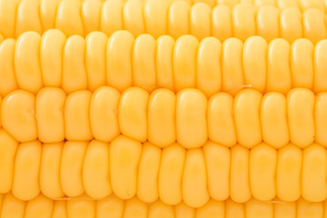 Yellow corn background close up