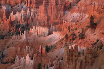 Bryce Canyon USA